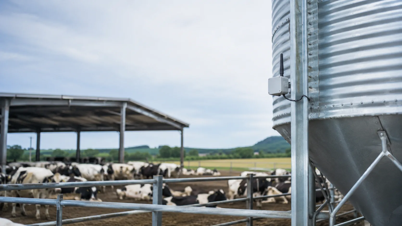 Feed Silo Monitoring for Dairy Farms: Sensors, Alerts & How to Choose